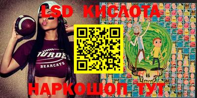 прущие грибы Ликино-Дулёво