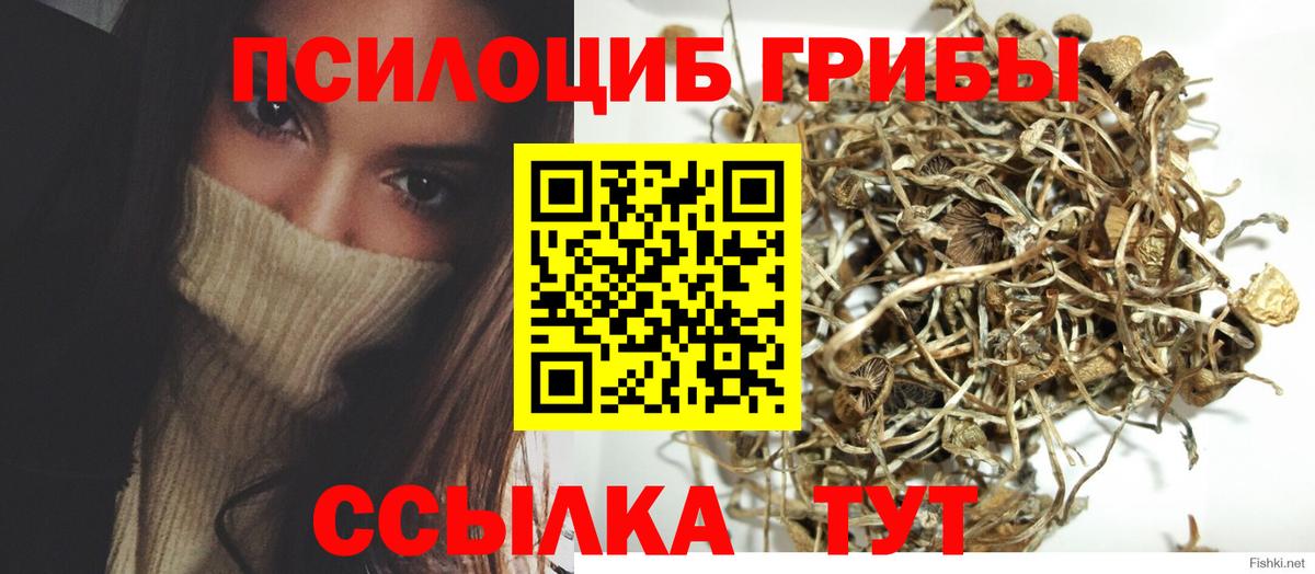 Псилоцибиновые грибы Cubensis  Вход с VPN  Псилоцибиновые грибы мухоморы  Вязьма 