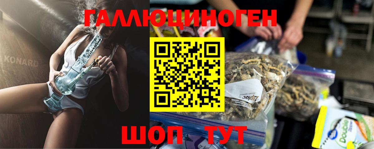 Галлюциногенные грибы Psilocybine cubensis Вязьма